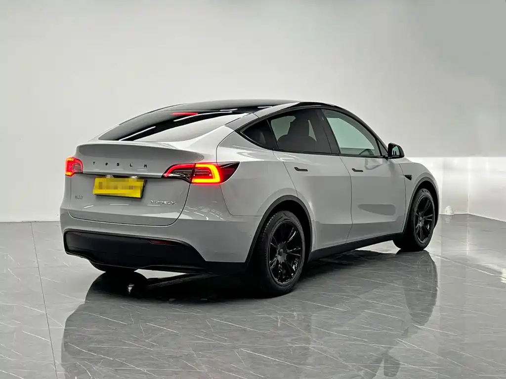 Tesla Model Y — миниатюра 6