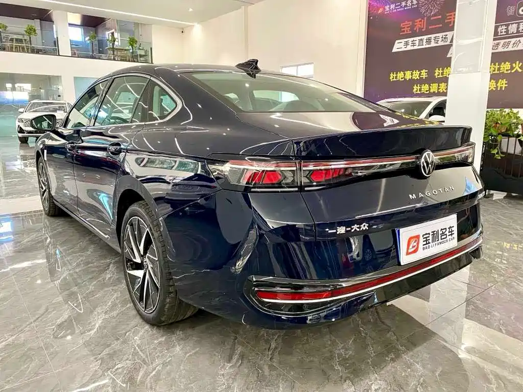 Volkswagen Magotan — миниатюра 2