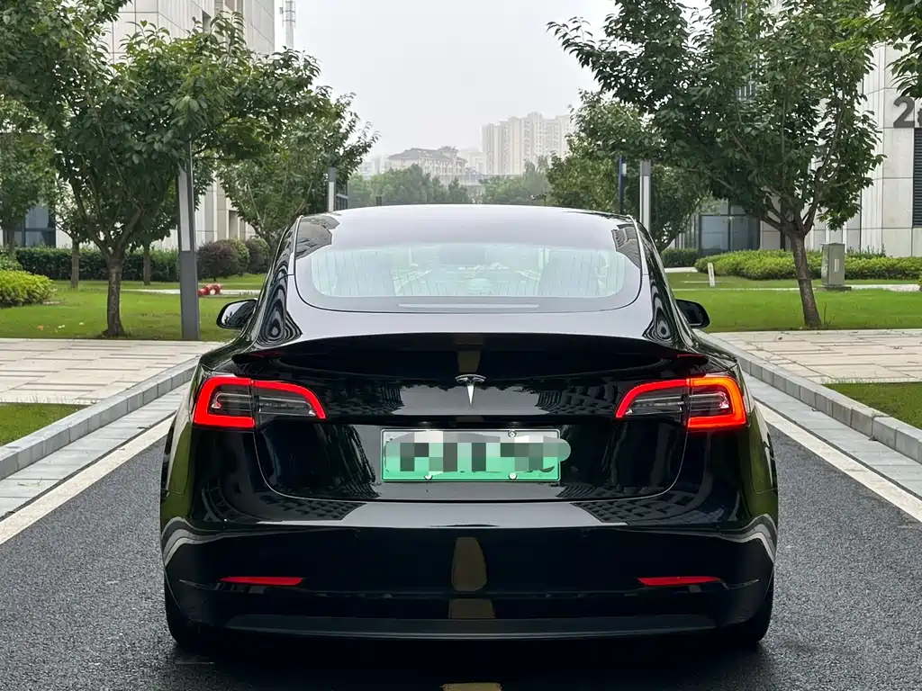 Tesla Model 3 — миниатюра 30