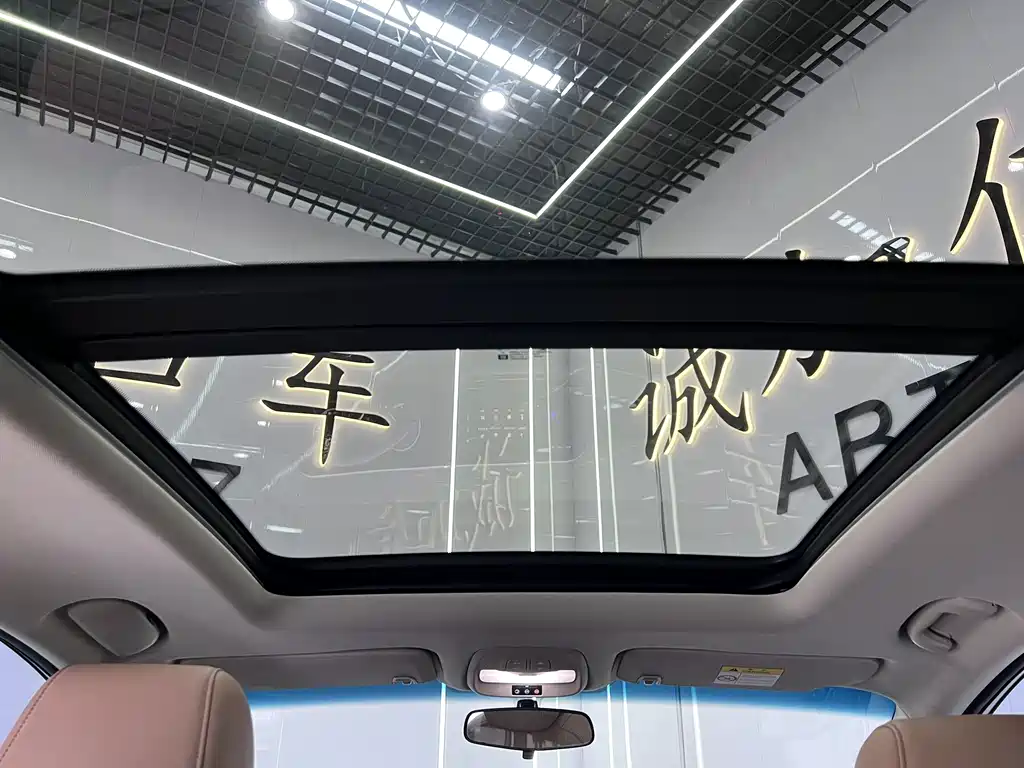 Buick GL6 — миниатюра 14