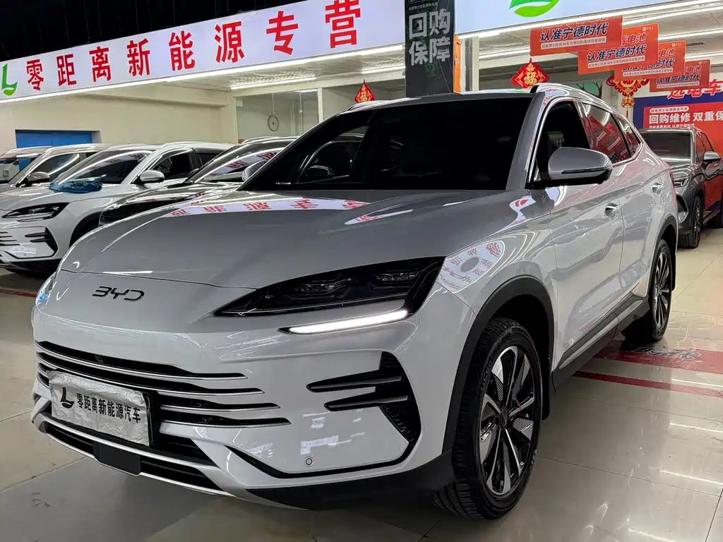 BYD PLUS New Energy — миниатюра 2