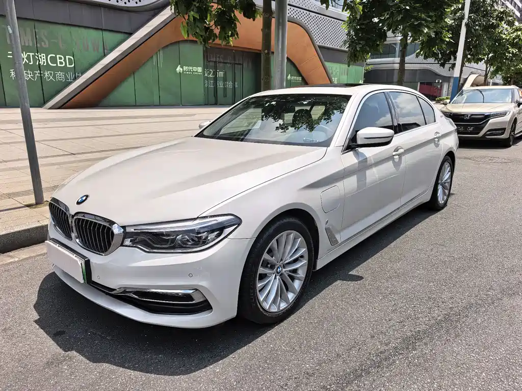 BMW 5 Series 5 2019 530Le Luxury