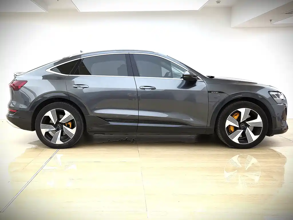 Audi e-tron (Import) — миниатюра 3