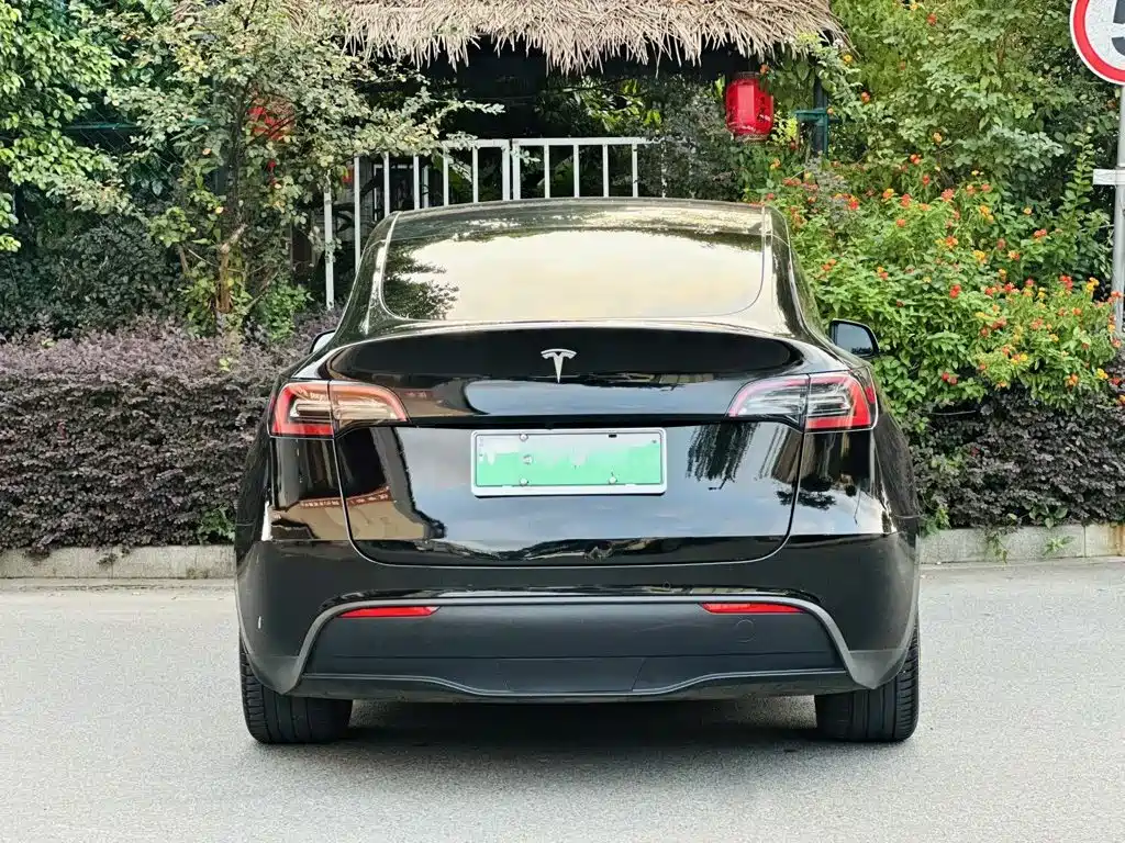 Tesla Model Y — миниатюра 8