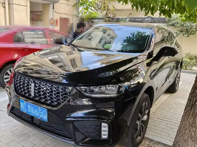 WEI PAI WEI BRAND VV5 2019