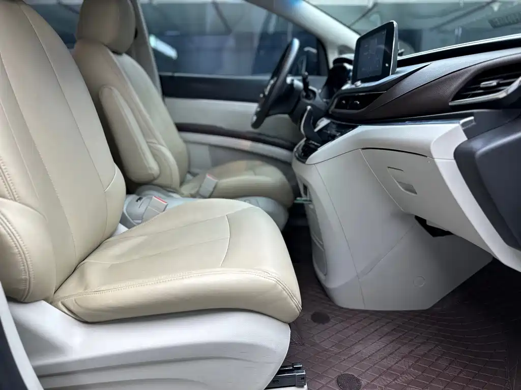 Buick GL8 — миниатюра 9