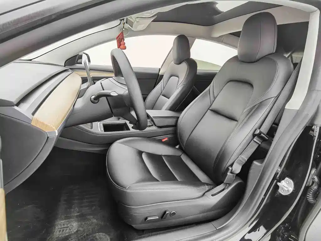 Tesla Model 3 — миниатюра 6
