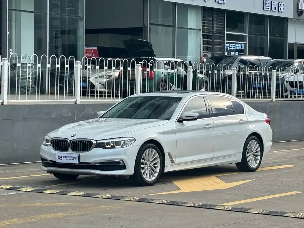 BMW 5 Series 5 2019 530Li Lead Luxury