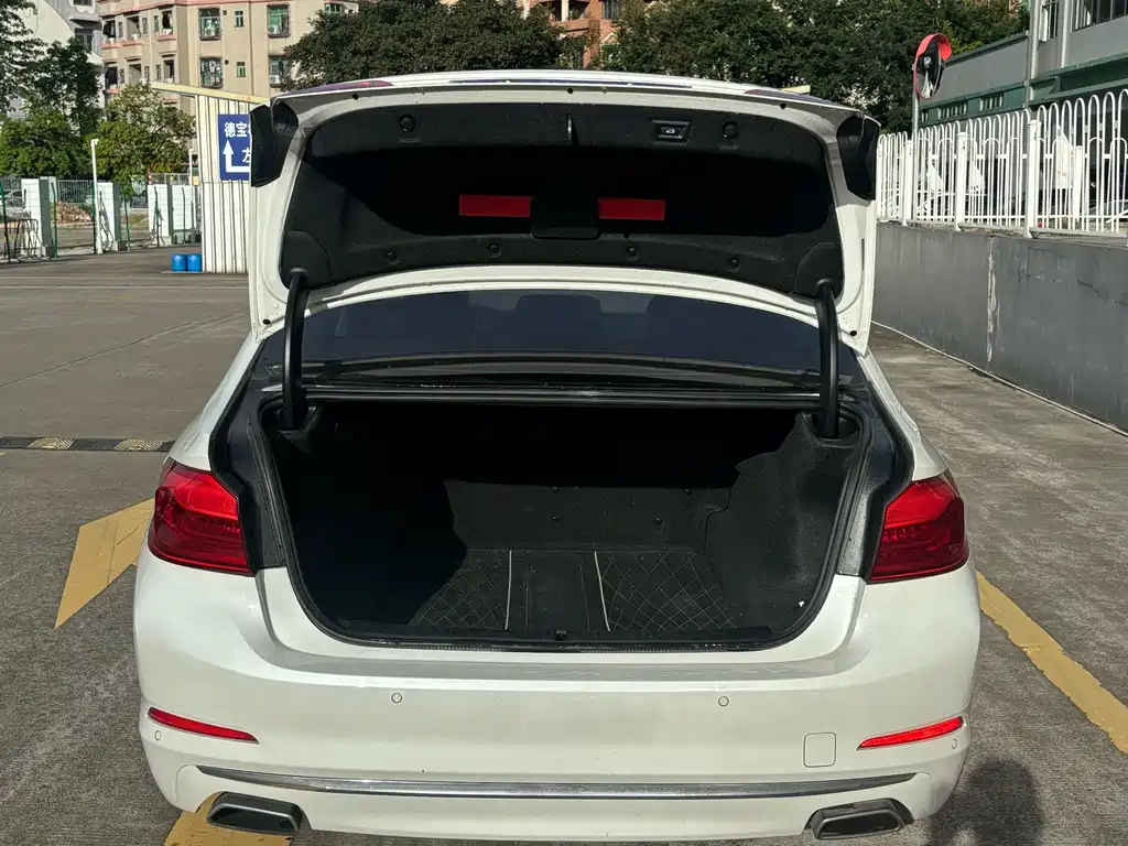 BMW 5 Series 5 2019 530Li Lead Luxury