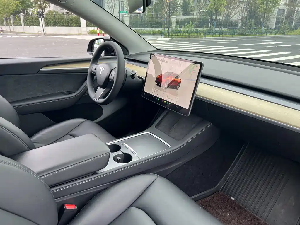 Tesla Model Y — миниатюра 13