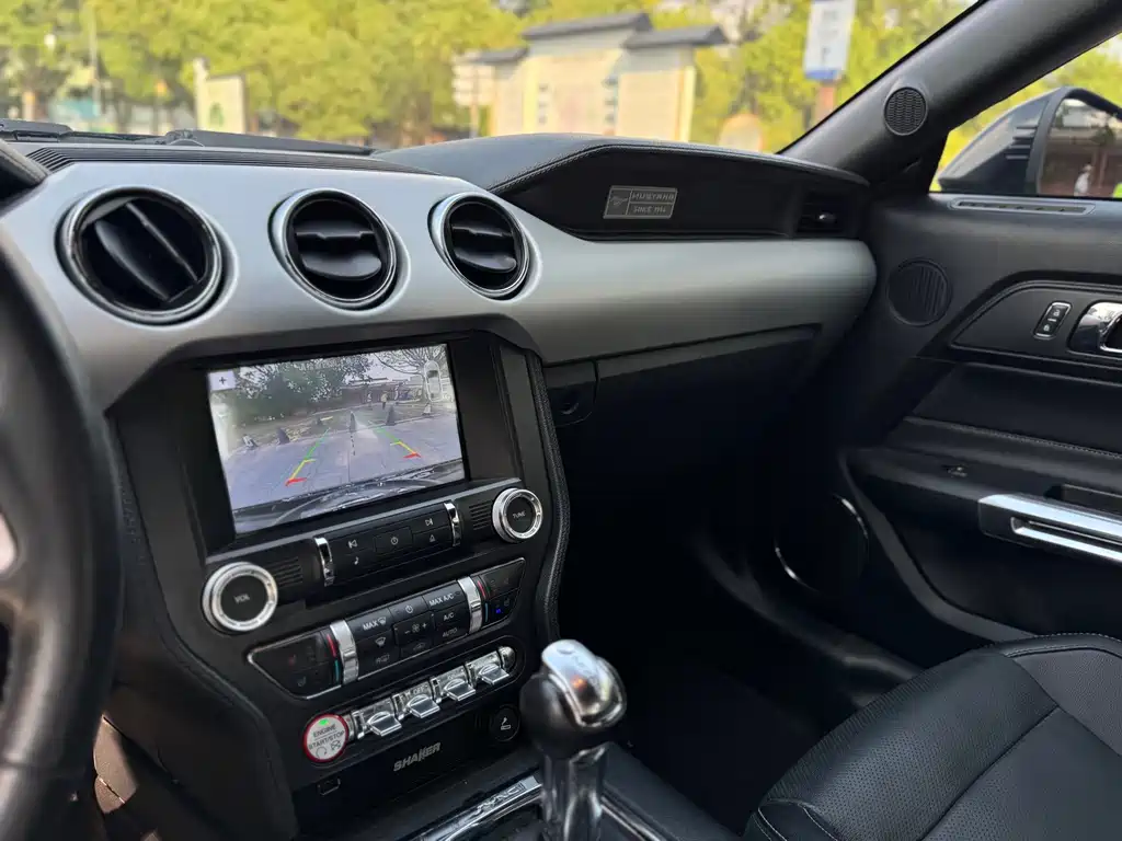 Ford Mustang — миниатюра 17