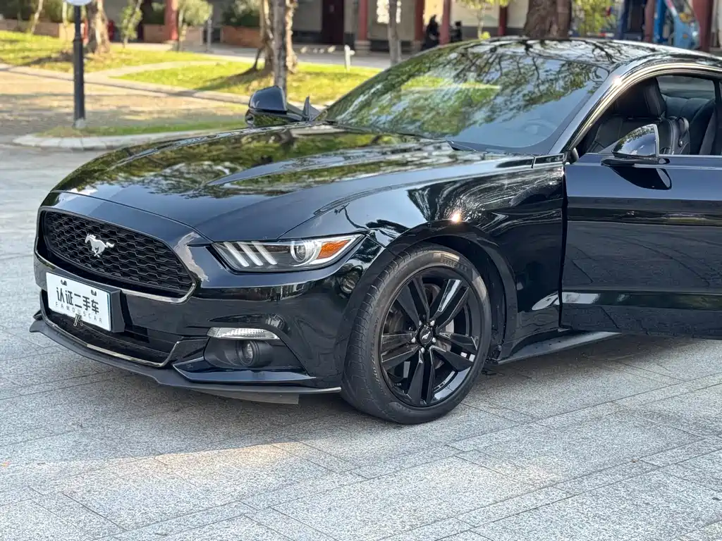 Ford Mustang — миниатюра 22