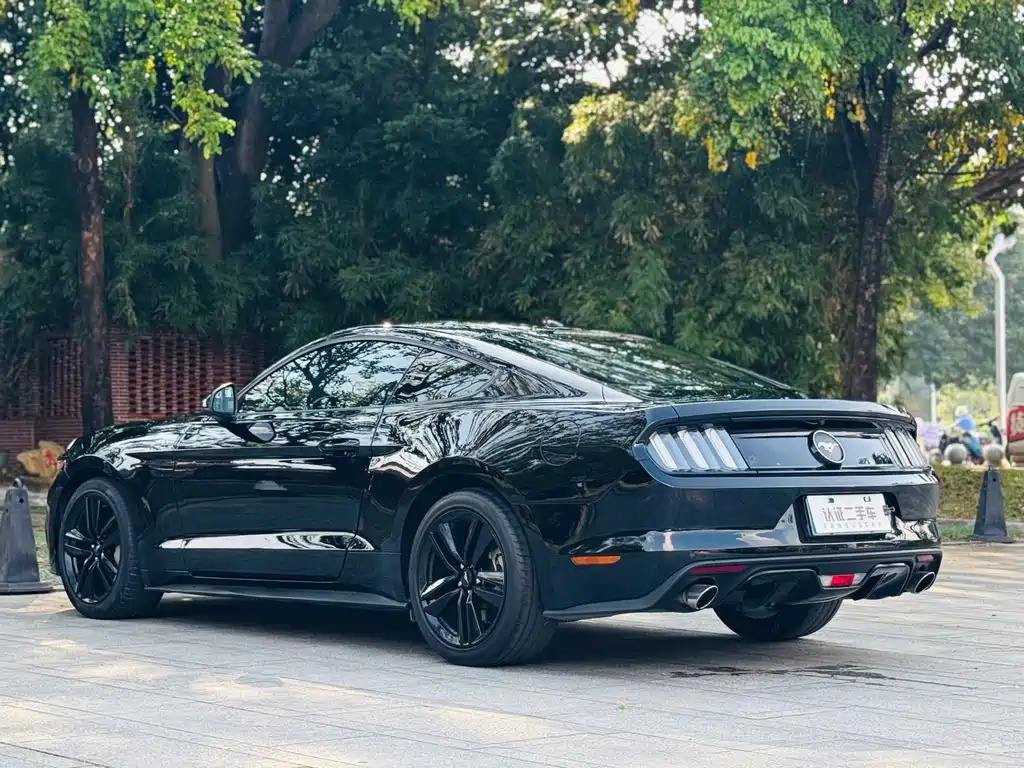 Ford Mustang — миниатюра 24