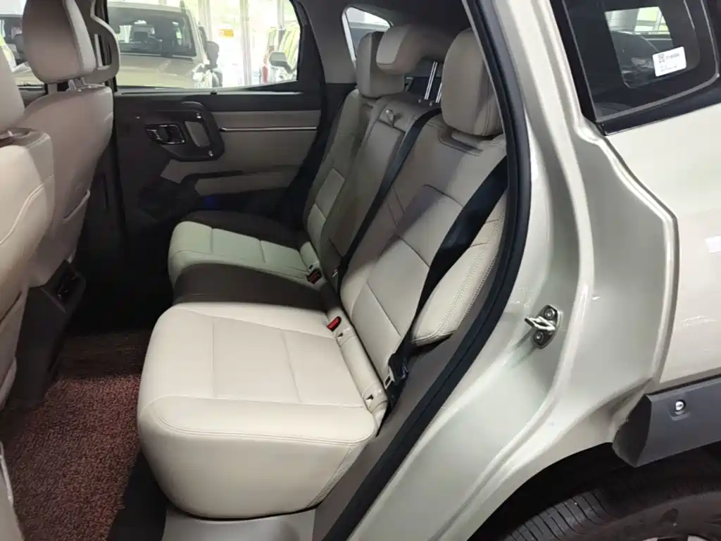 Haval Big Dog PLUS — миниатюра 17