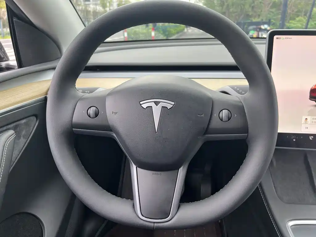 Tesla Model Y — миниатюра 17
