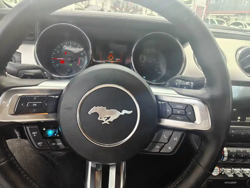 Ford Mustang — миниатюра 11