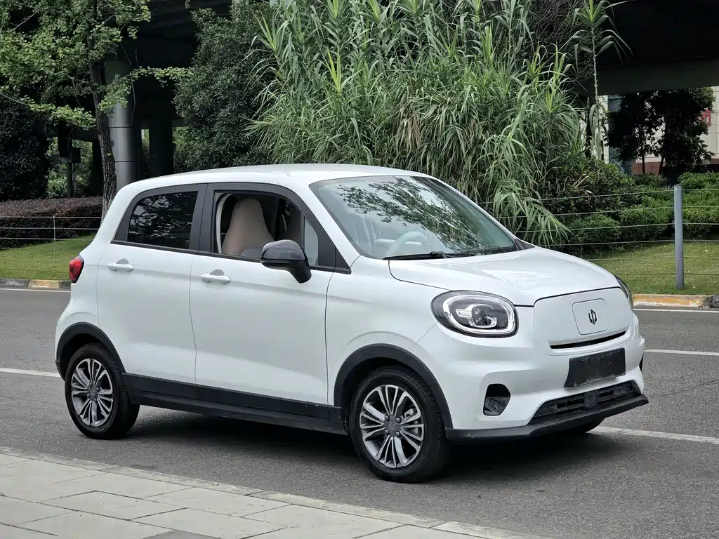 Leapmotor T03 2024 310