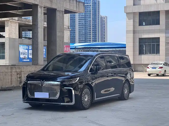 2025 Voyah Dream