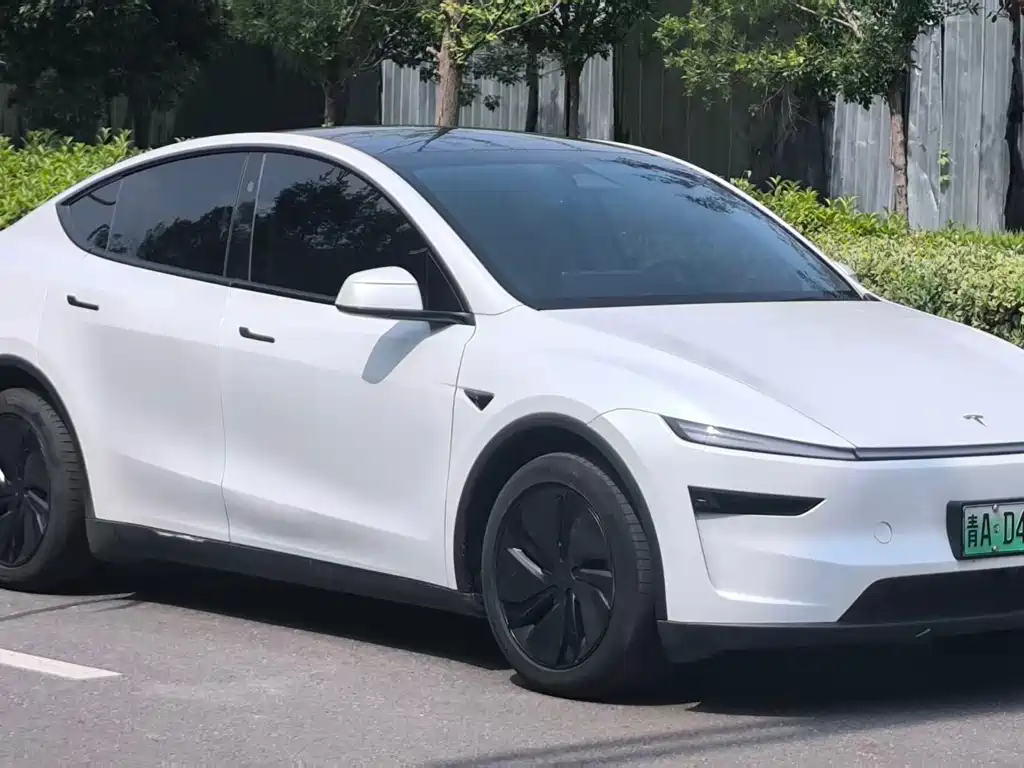 Tesla Model Y — миниатюра 3