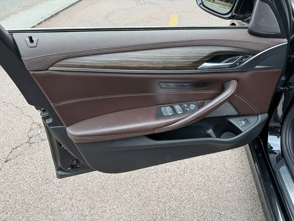 BMW 5 Series 5 2020 530Li Premium Luxury