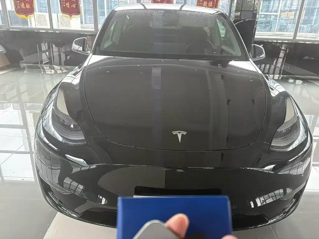 Tesla Model Y — миниатюра 2