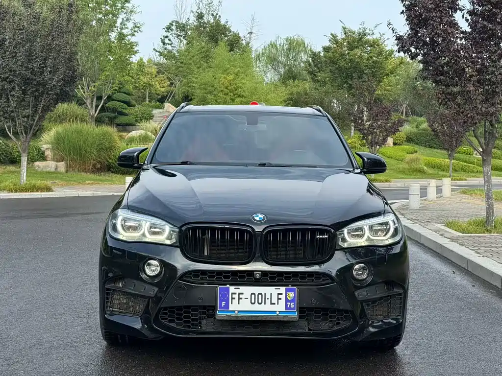 BMW X5 M