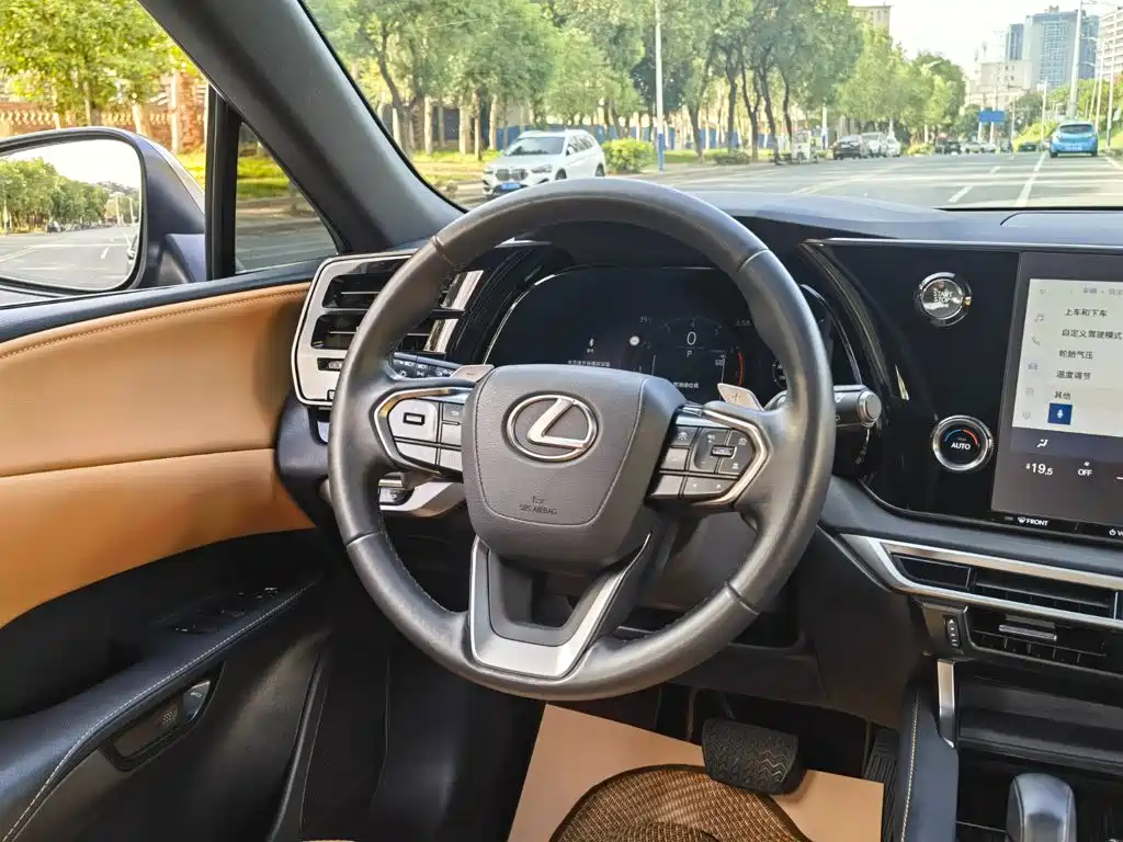 Lexus RX — миниатюра 12