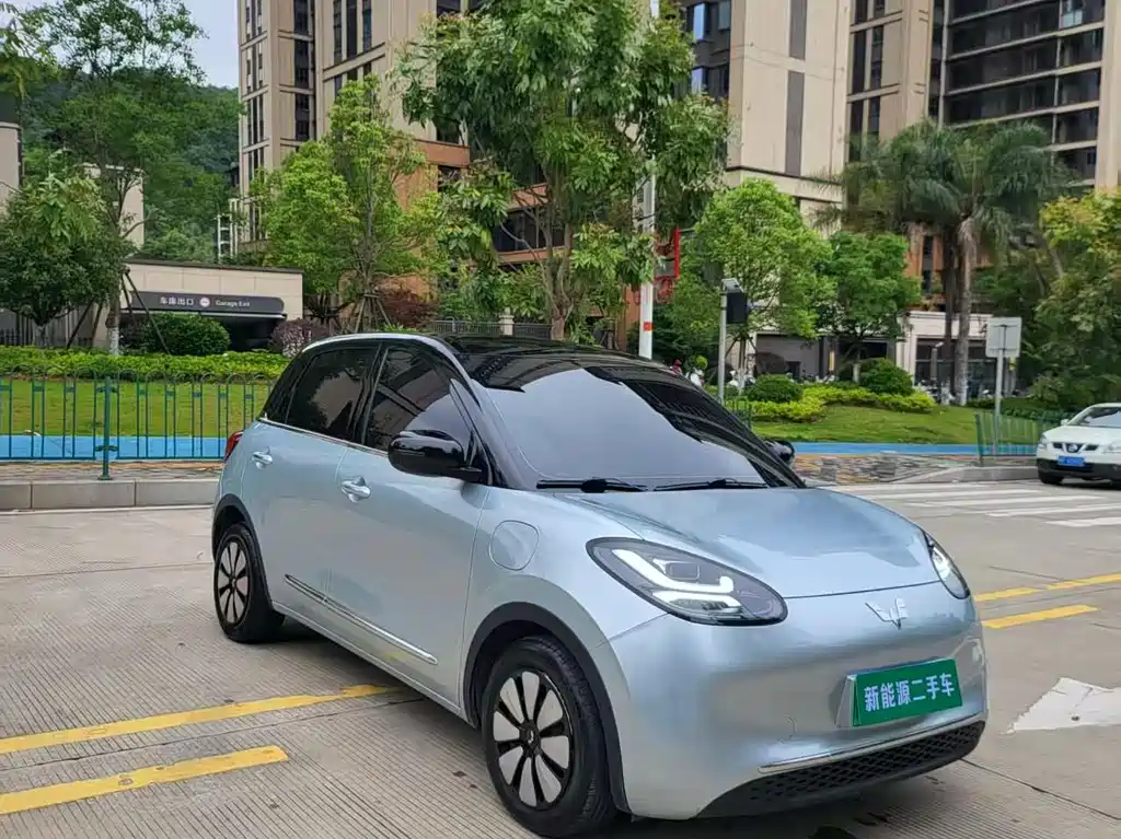 Wuling Binguo 2023 333km Enjoy