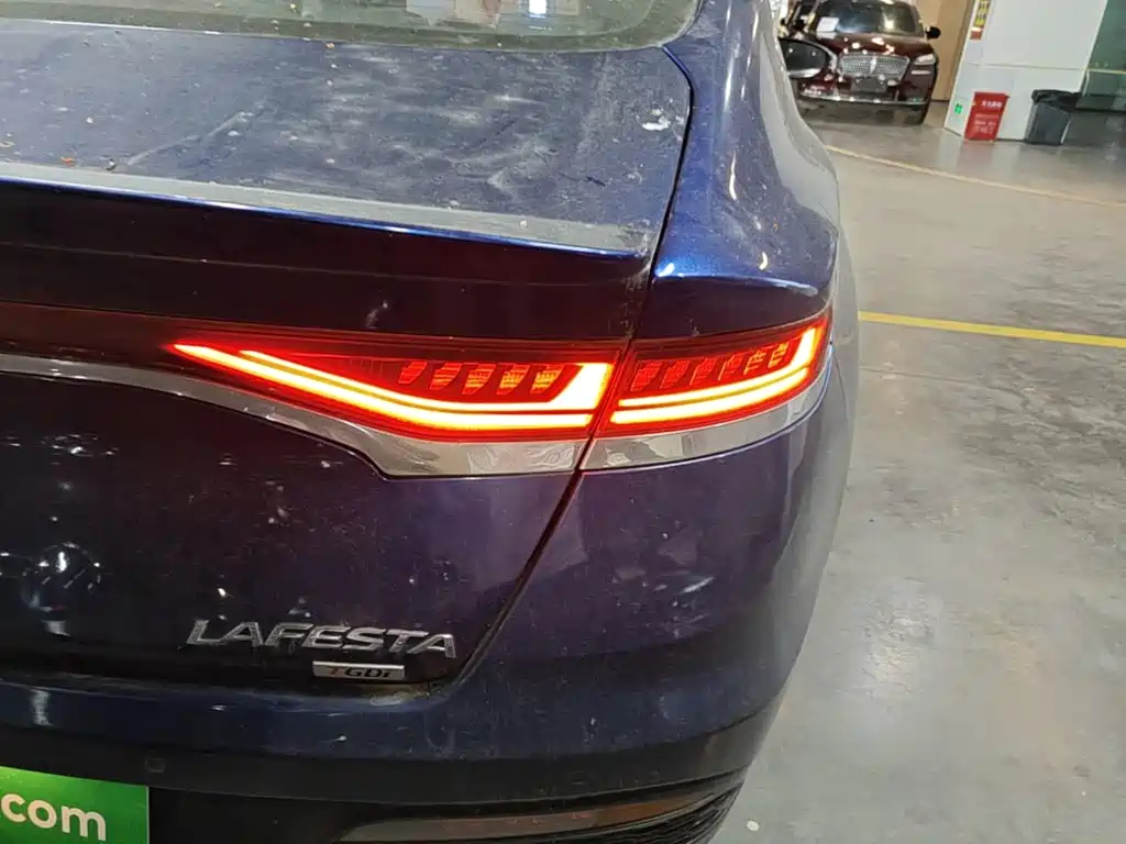 Hyundai Fista — миниатюра 8