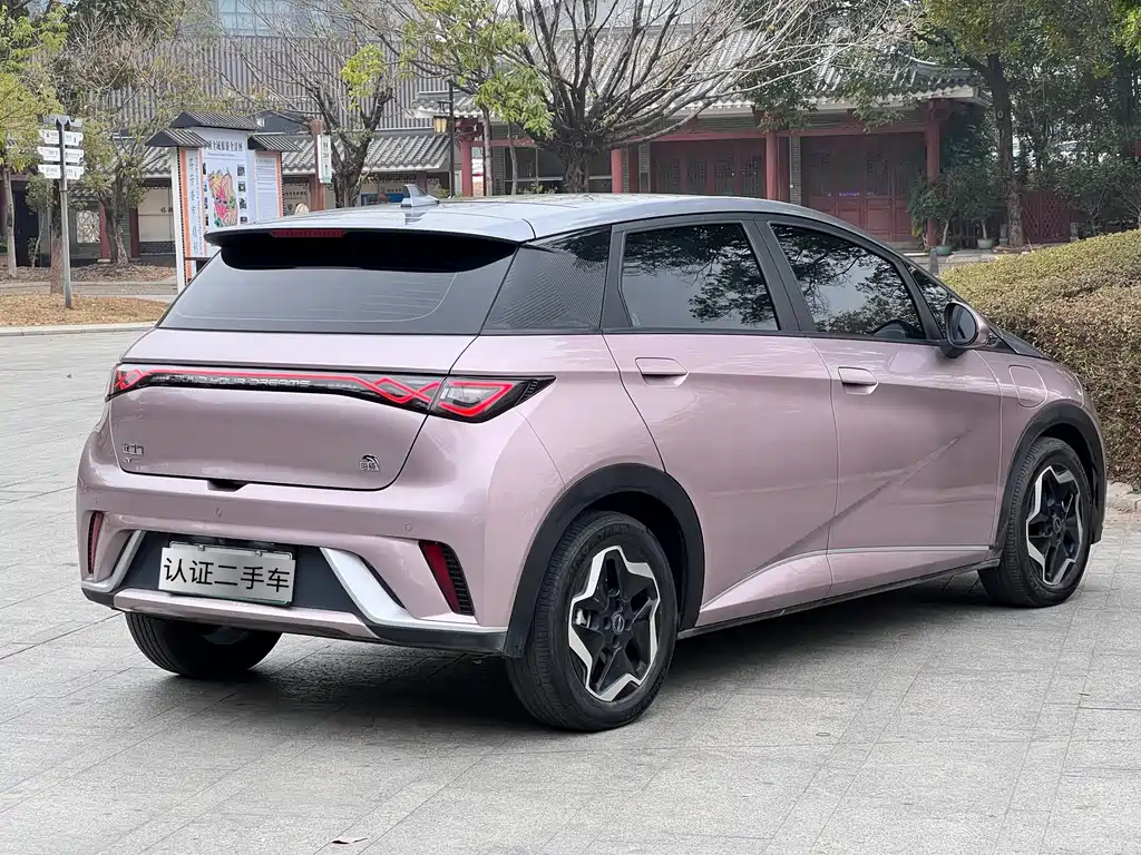 BYD DOLPHIN