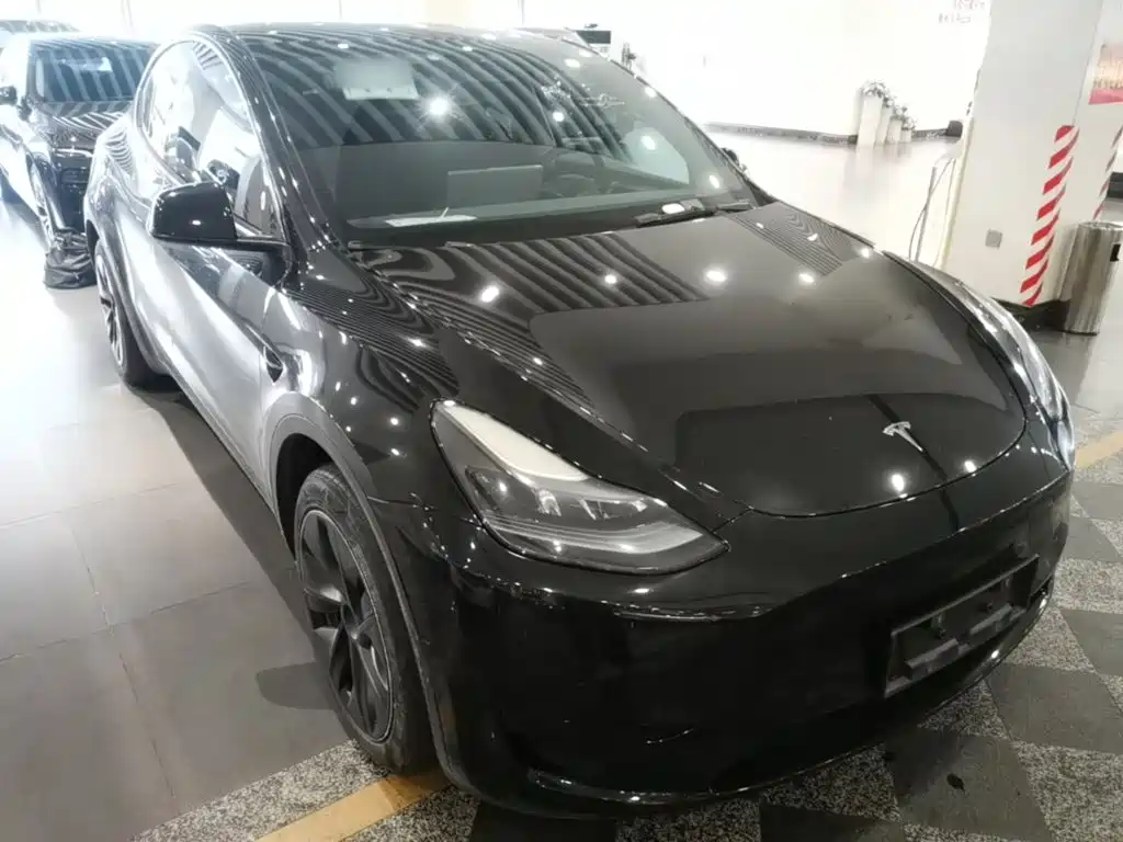 Tesla Model Y — миниатюра 4