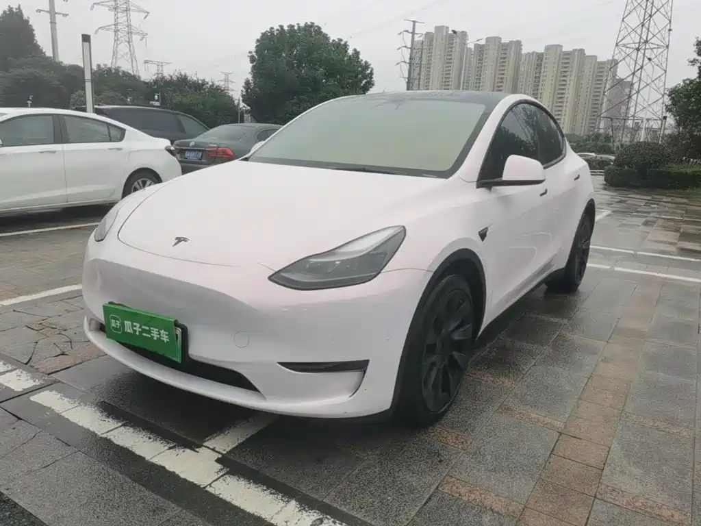 Tesla Model Y — миниатюра 2
