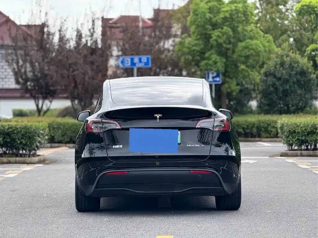 Tesla Model Y — миниатюра 5