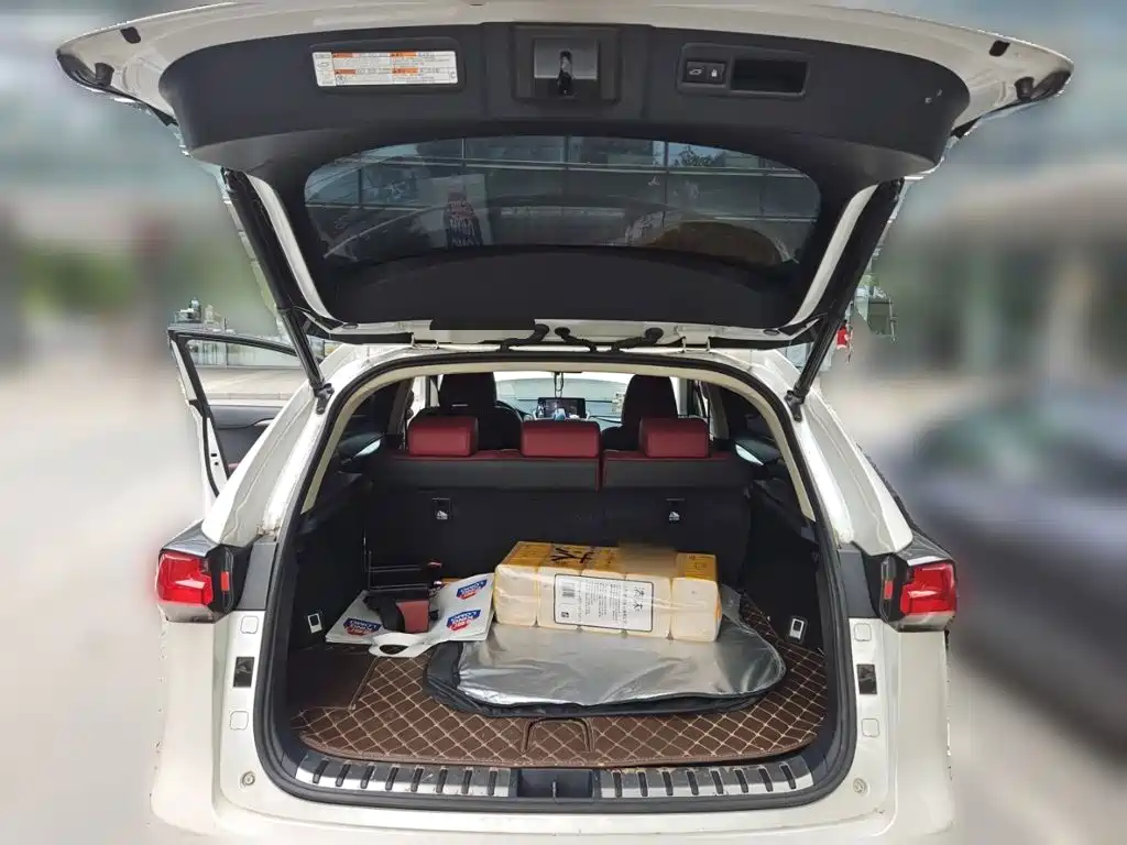 Lexus NX — миниатюра 20