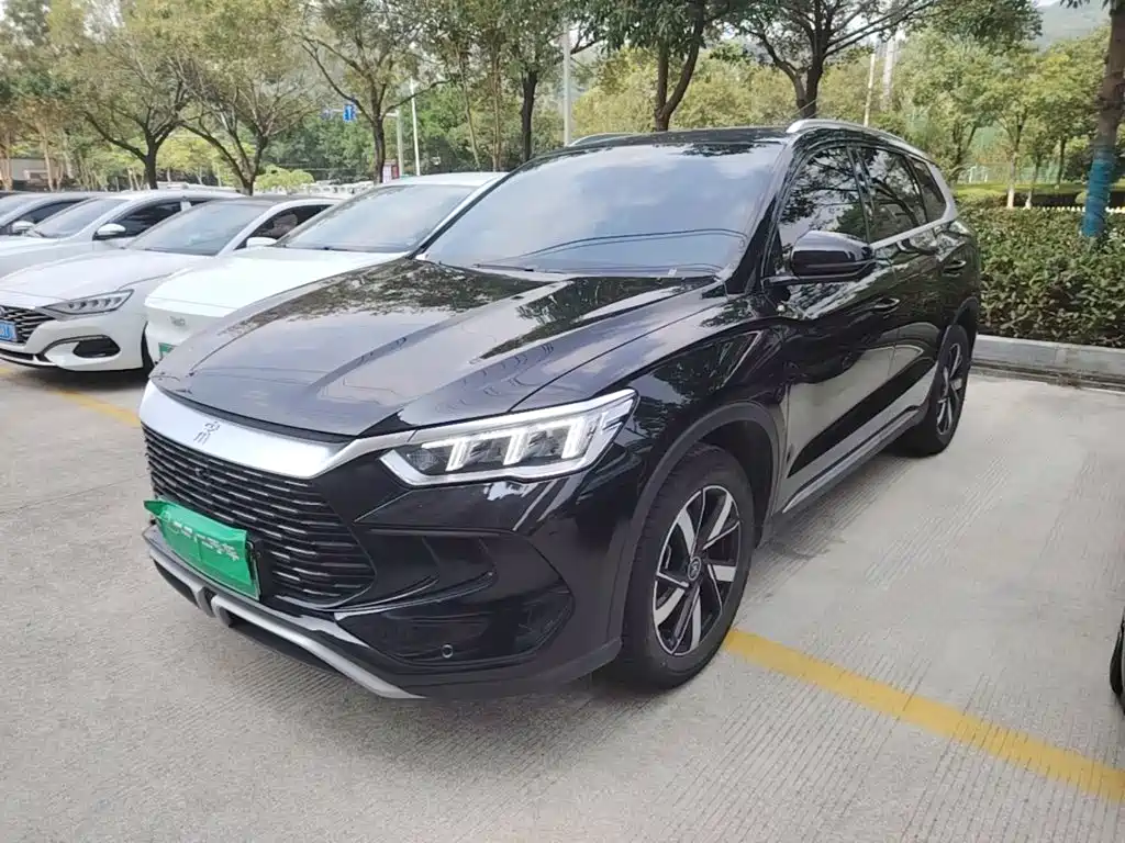 BYD Pro New Energy — миниатюра 2