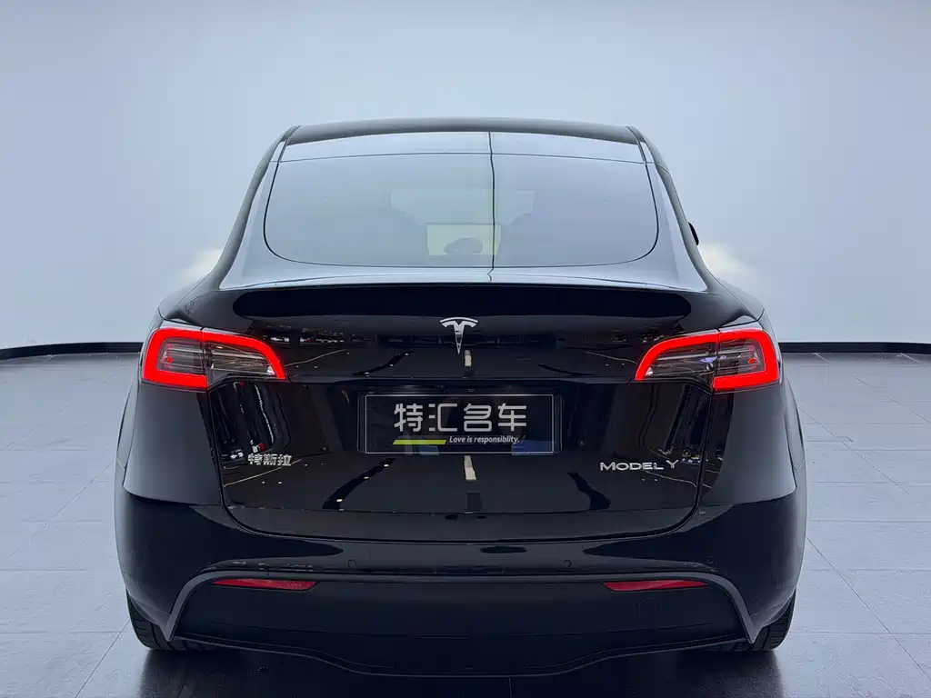 Tesla Model Y — миниатюра 15