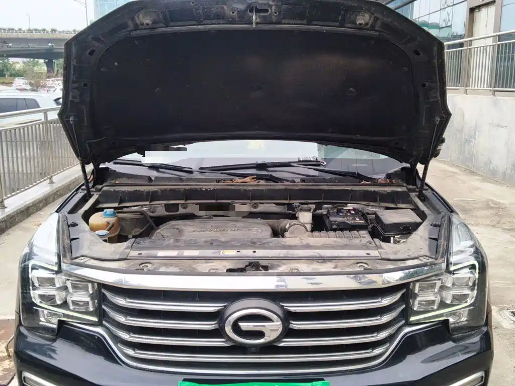 GAC Motor Trumpchi GS8 — миниатюра 21