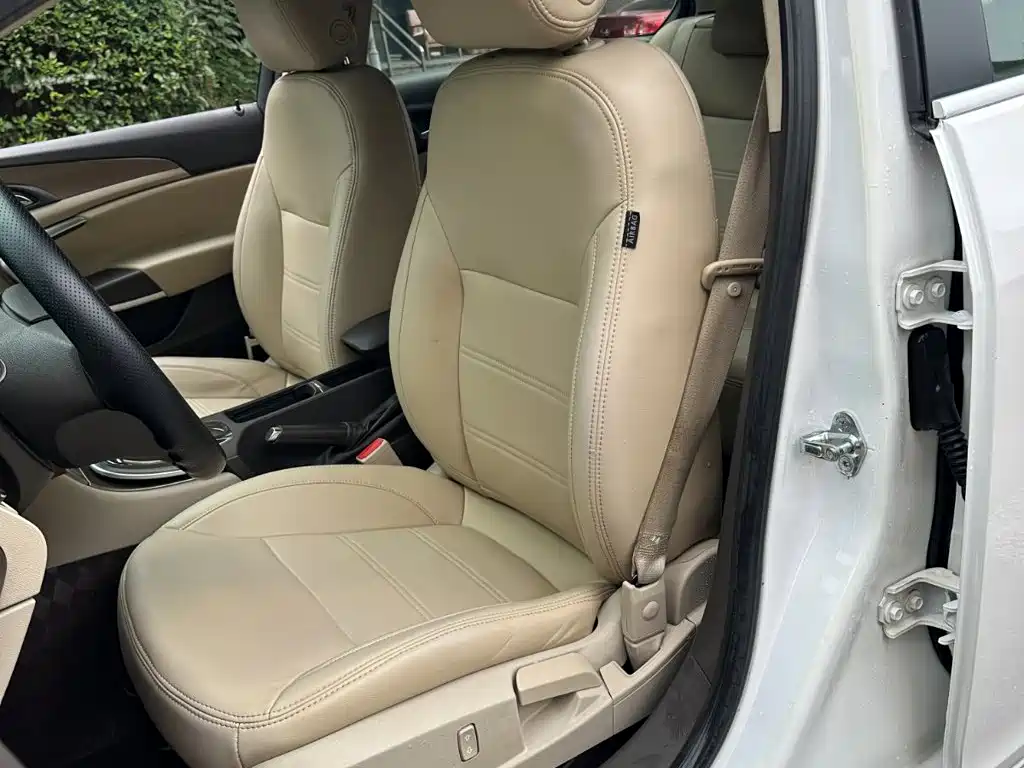 Buick Regal — миниатюра 11
