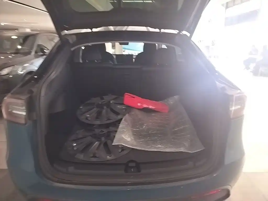 Tesla Model Y — миниатюра 19