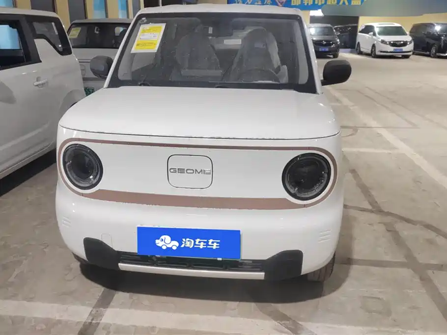 GEELY GALAXY PANDA