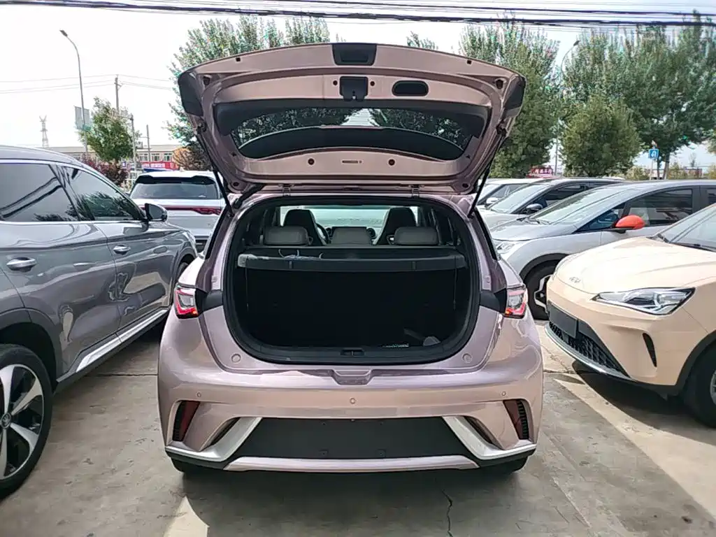 BYD Dolphin — миниатюра 19