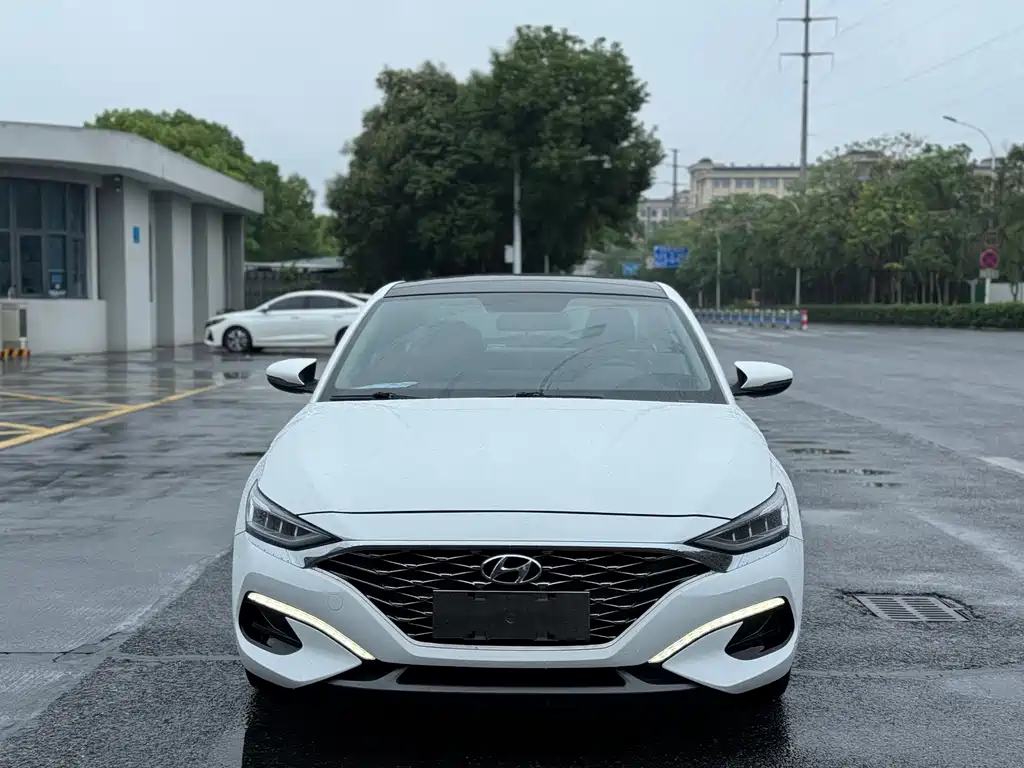 Hyundai Fista — миниатюра 2