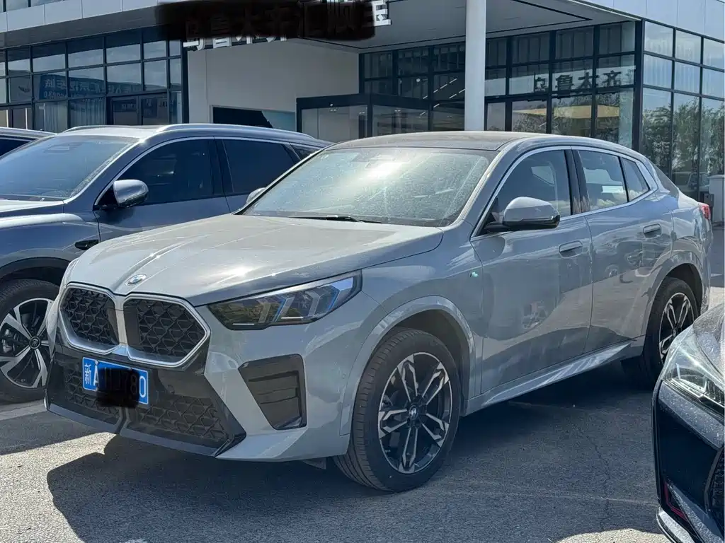 Купить BMW X2 (Import)