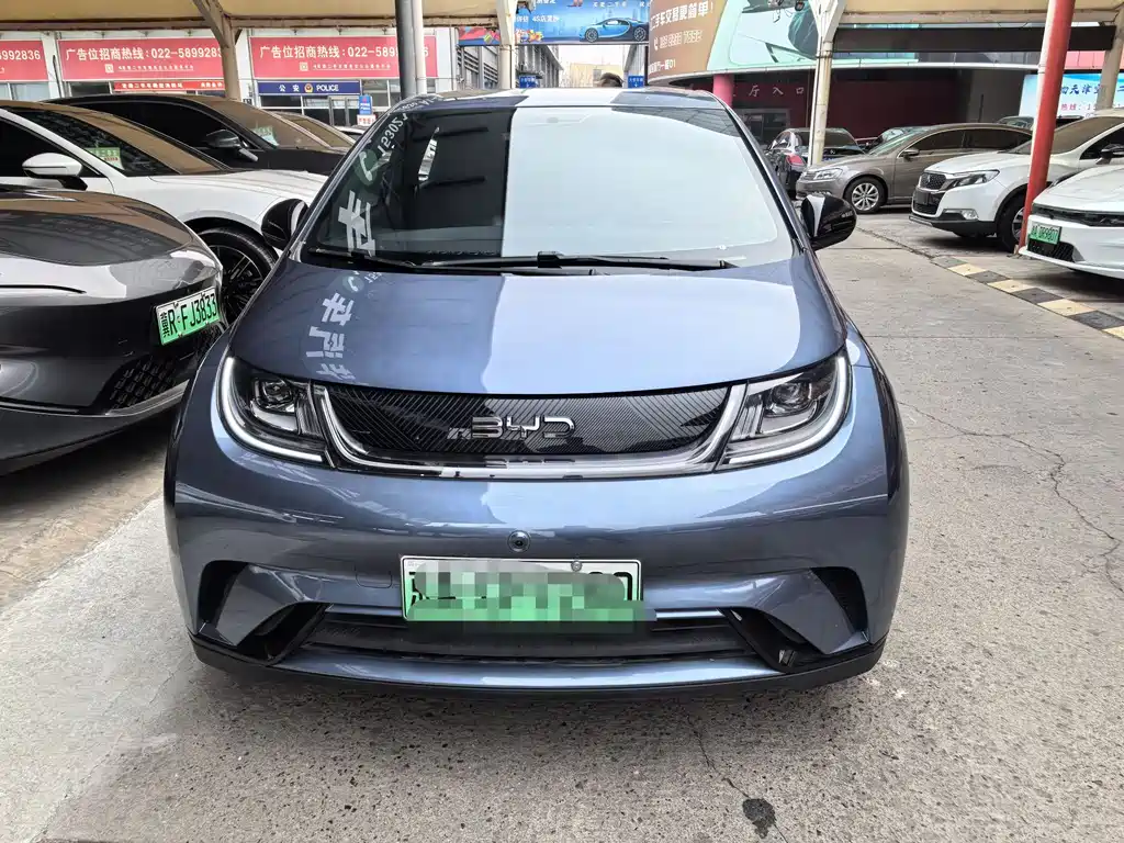 BYD DOLPHIN
