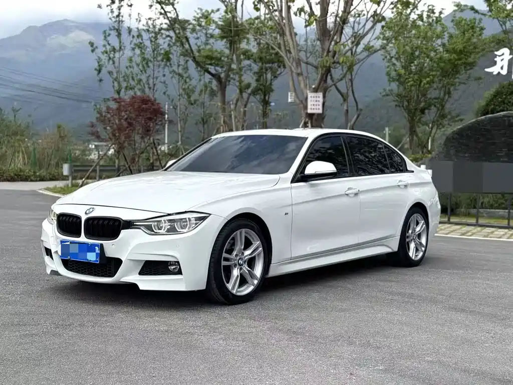 BMW 3 Series 2017 320Li M Sport Type