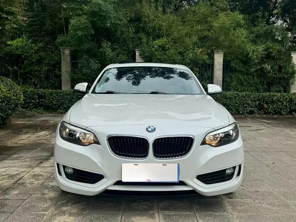 BMW 2 Series (Import) — миниатюра 2