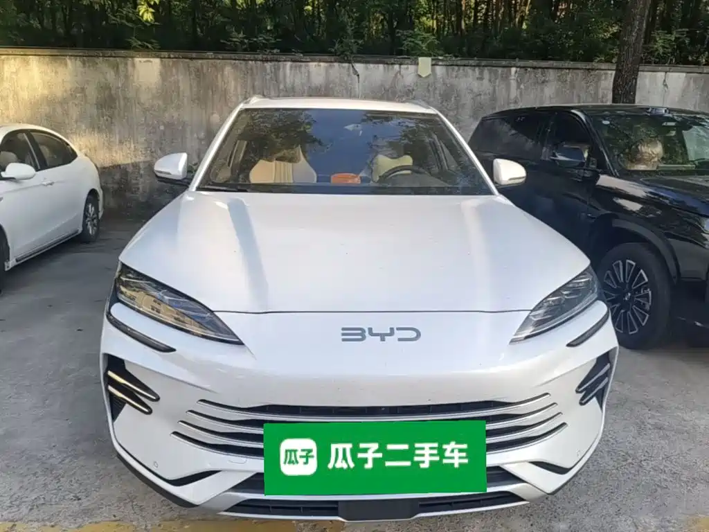 BYD PLUS New Energy — миниатюра 3