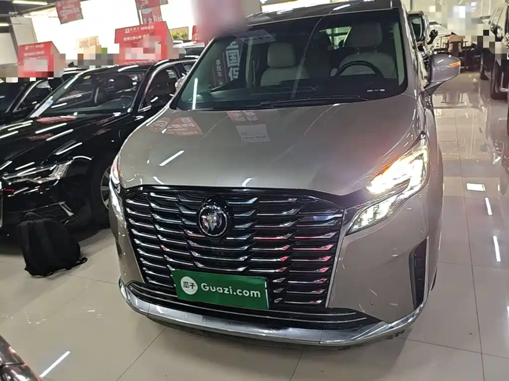 Buick GL8 — миниатюра 3