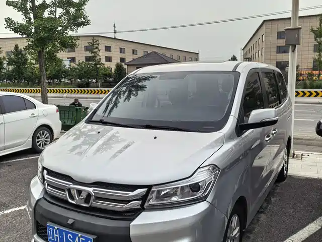 Huasong 7