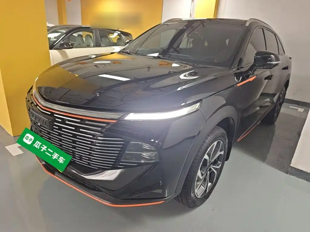Haval Shenshou — миниатюра 2